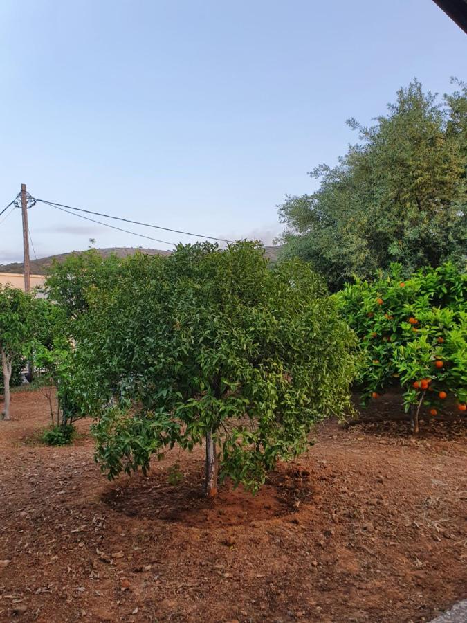 Chania Casa Portokali Perivólia 外观 照片